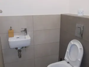 Pronájem bytu 4+kk, Bučovice, U Škol, 91 m2