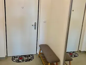 Pronájem bytu 1+kk, Praha - Žižkov, Olgy Havlové, 32 m2