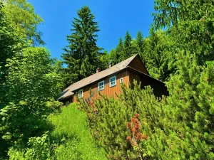 Prodej chalupy, Malá Úpa, 158 m2