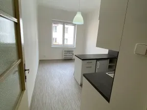 Pronájem bytu 1+1, Plzeň, Alešova, 50 m2