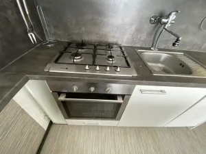 Pronájem bytu 1+1, Plzeň, Alešova, 50 m2