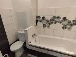 Pronájem bytu 2+1, Odolena Voda, V Malém háji, 60 m2