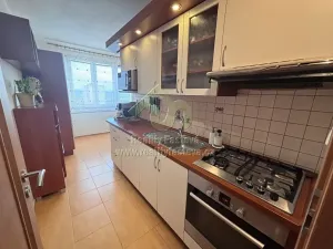 Pronájem bytu 2+1, Plzeň, Skupova, 65 m2