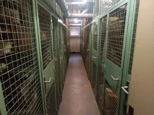 Prodej bytu 1+kk, Zlín, 33 m2