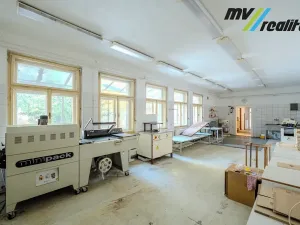 Prodej rodinného domu, Hořice, Riegrova, 720 m2