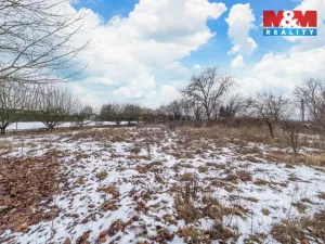 Prodej pozemku pro bydlení, Blovice - Vlčice, 2143 m2