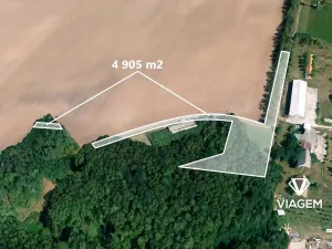 Prodej podílu pole, Čejkovice, 1226 m2