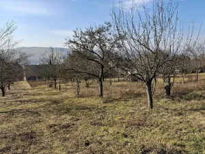 Prodej rodinného domu, Boršice, 280 m2