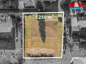 Prodej pozemku pro bydlení, Borová, 1250 m2