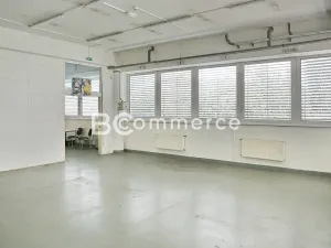 Pronájem skladu, Brno, Vídeňská, 175 m2