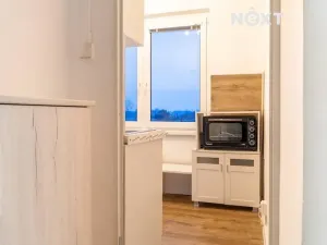 Pronájem bytu 1+1, Lázně Bohdaneč, Na Lužci, 28 m2