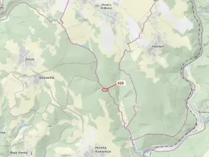 Dražba lesa, Jílové u Držkova, 151 m2