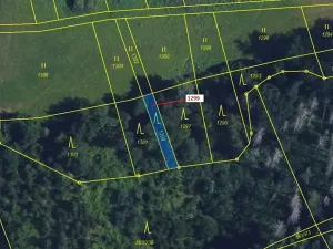 Dražba lesa, Spešov, 114 m2