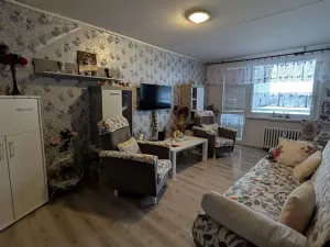 Prodej bytu 2+kk, Most, Lipová, 50 m2