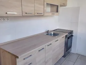 Pronájem bytu 2+1, Bílina, M. Švabinského, 55 m2