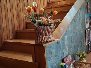 Prodej rodinného domu, Boršice, 280 m2