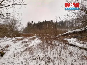 Prodej rybníku, Dolní Hořice - Pořín, 8552 m2