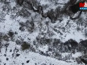 Prodej rybníku, Dolní Hořice - Pořín, 8552 m2