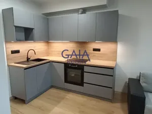 Pronájem bytu 2+kk, Prostějov, Krasická, 50 m2