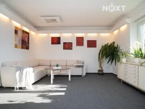 Prodej vícegeneračního domu, České Budějovice, Borovanská, 195 m2