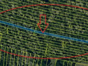 Prodej lesa, Mutěnice, 5100 m2