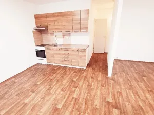 Pronájem bytu 2+kk, Litoměřice, Revoluční, 42 m2