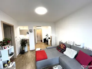 Pronájem bytu 2+kk, Olomouc, Andělská, 49 m2