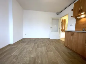 Pronájem bytu 1+1, Nový Jičín, Komenského, 32 m2