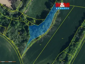 Prodej lesa, Ronov nad Doubravou, 2904 m2