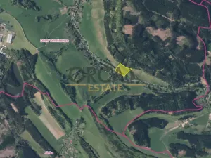 Prodej louky, Jívka, 15039 m2