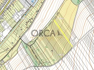 Prodej louky, Březolupy, 1729 m2