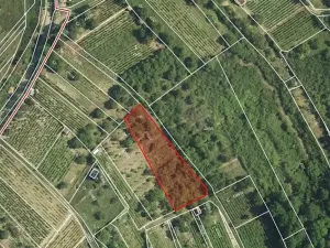 Pronájem zahrady, Hustopeče, 1387 m2