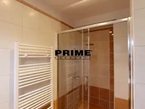 Pronájem bytu 2+1, Praha - Nové Město, Záhořanského, 124 m2