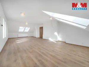 Prodej bytu 3+kk, Plešnice, 110 m2
