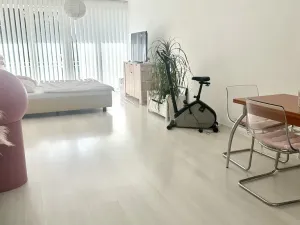 Pronájem bytu 2+kk, Jihlava, Vrchlického, 61 m2