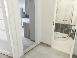 Pronájem bytu 2+kk, Praha - Žižkov, Fibichova, 60 m2