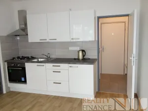 Pronájem bytu 1+1, Plzeň, Karla Steinera, 36 m2