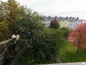 Pronájem bytu 1+1, Ostrava, Newtonova, 45 m2