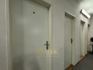 Prodej bytu 2+kk, Teplice, Albrechtova, 61 m2