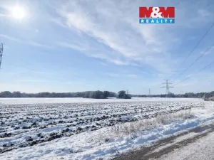 Prodej pole, Všestudy, 1578 m2