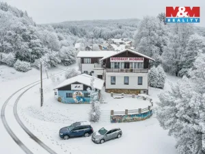 Prodej ubytování, Plavy, 500 m2