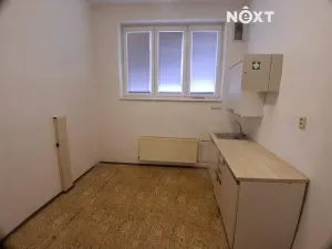 Pronájem skladu, České Budějovice, Pražská tř., 80 m2