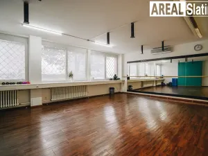 Pronájem kanceláře, Brno, Tuřanka, 43 m2