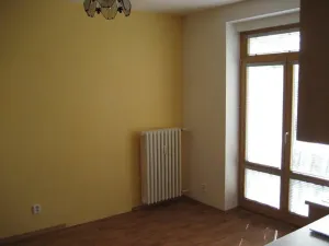 Pronájem bytu 1+kk, Brno, Obilní trh, 21 m2