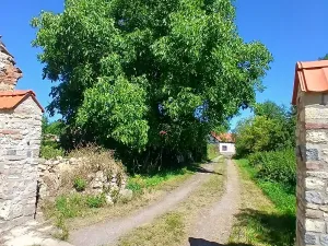 Prodej výrobních prostor, Pavlov, Lidická, 659 m2