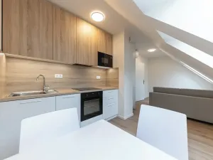 Pronájem bytu 1+kk, Praha - Bubeneč, Veletržní, 29 m2