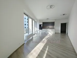 Pronájem atypického bytu, České Budějovice, Na Zlaté stoce, 54 m2