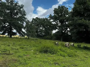 Prodej pozemku pro bydlení, Čížkov, 3589 m2