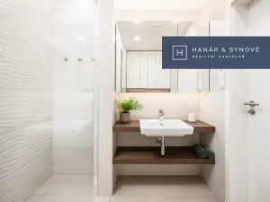 Pronájem bytu 1+kk, Brno, Koliště, 22 m2