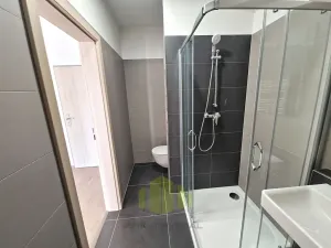 Pronájem bytu 1+kk, Olomouc, Wittgensteinova, 33 m2
